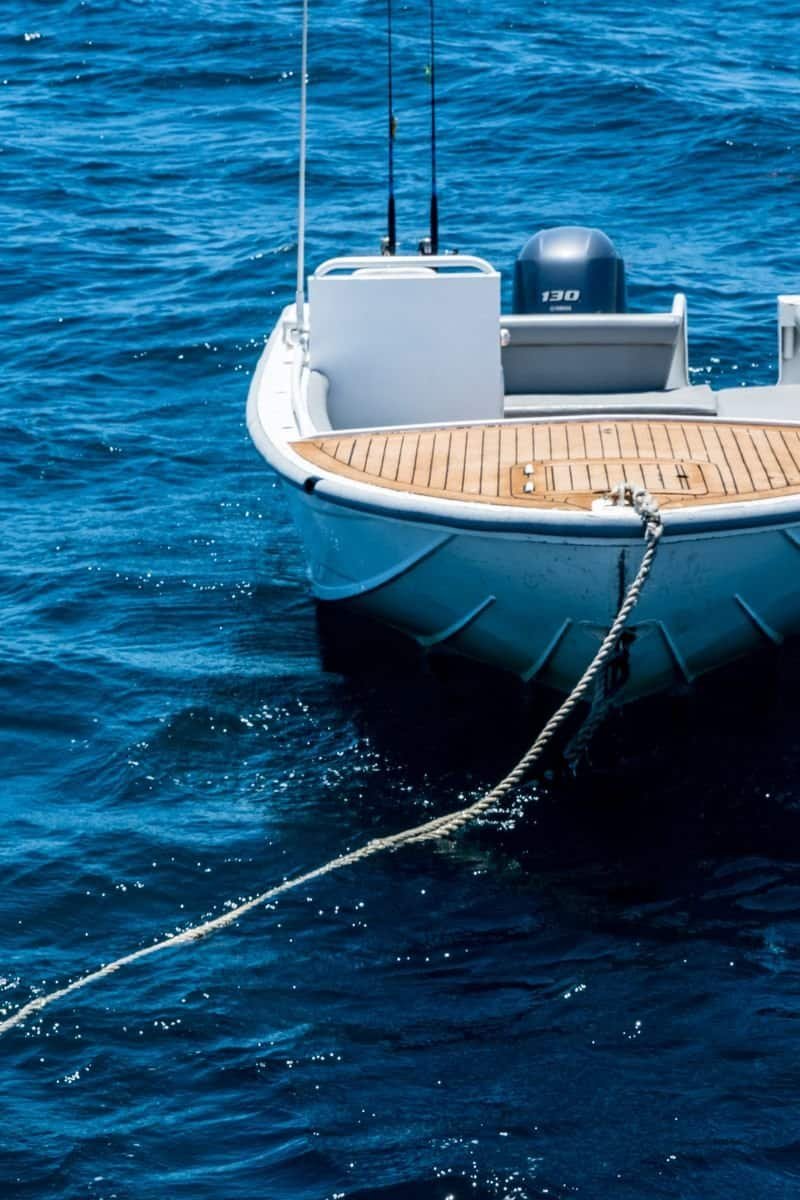 Deep Sea Roundup